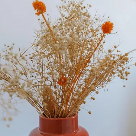 Cozy And Bright - Port Of *