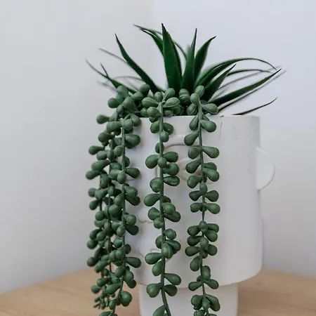 Cozy And Bright - Port Of アパート ニース