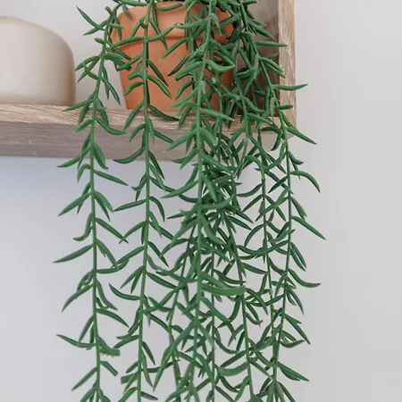 Cozy And Bright - Port Of *